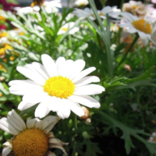 5672_logline's profile picture. 個人用