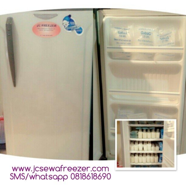 kami menyewakan freezer khusus ASI untuk daerah Jakarta & sekitarnya SMS/whatsapp 0818618690 untuk info lengkap.