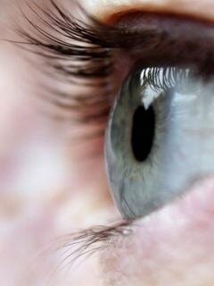 MEYER49's profile picture. Когда на трон садится добрый монарх, самое время издавать законы против беззакония власти.