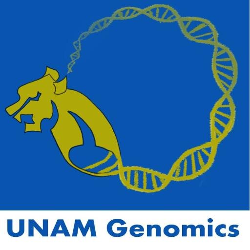 Somos el equipo iGEM de la Lic. en Ciencias Genómicas de la UNAM. ¡Síguenos!