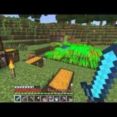 minecraft is my games , live whit villager can defeat ender dragon and I like kill zombie and creeper with my enchanting diamond sword