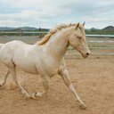 michael millican - @100755michael - Twitter