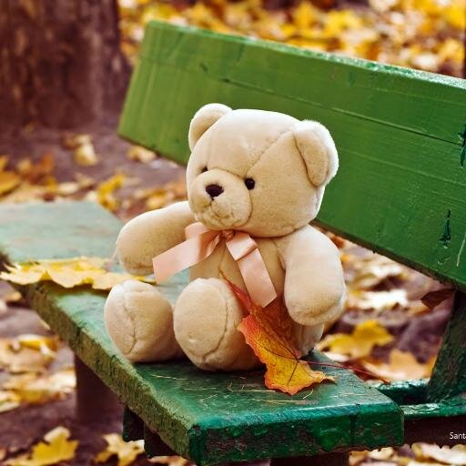 ravi_parekh's profile picture. 