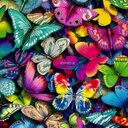 Laura Joan Roche - @ladyjane1983 - Twitter