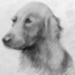 shattll's profile picture. 