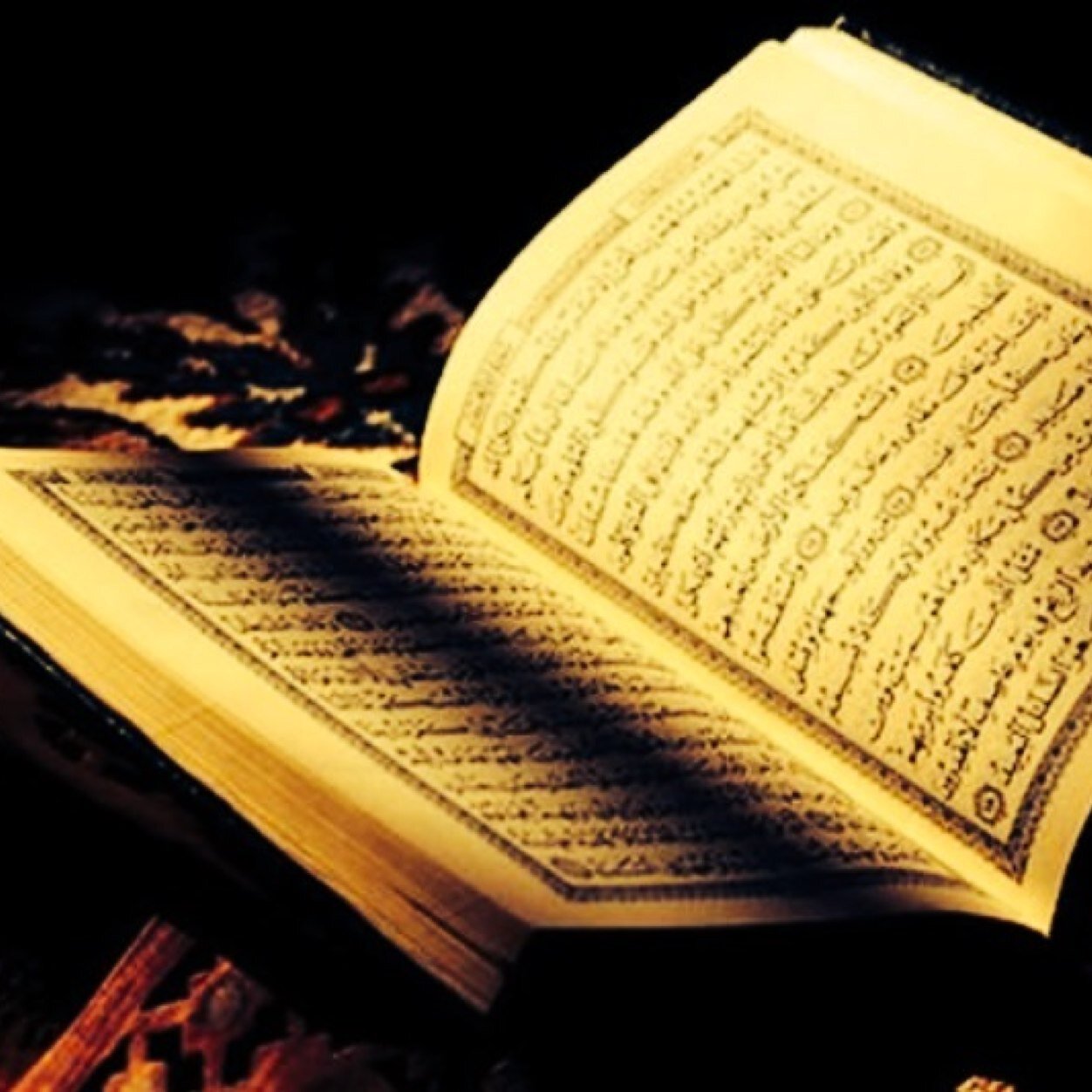 Timeforislam's profile picture. Daily Islamic Reminders