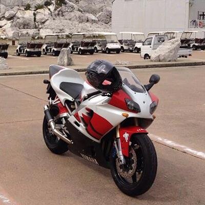 muchollica's profile picture. 脱子供部屋おじさん