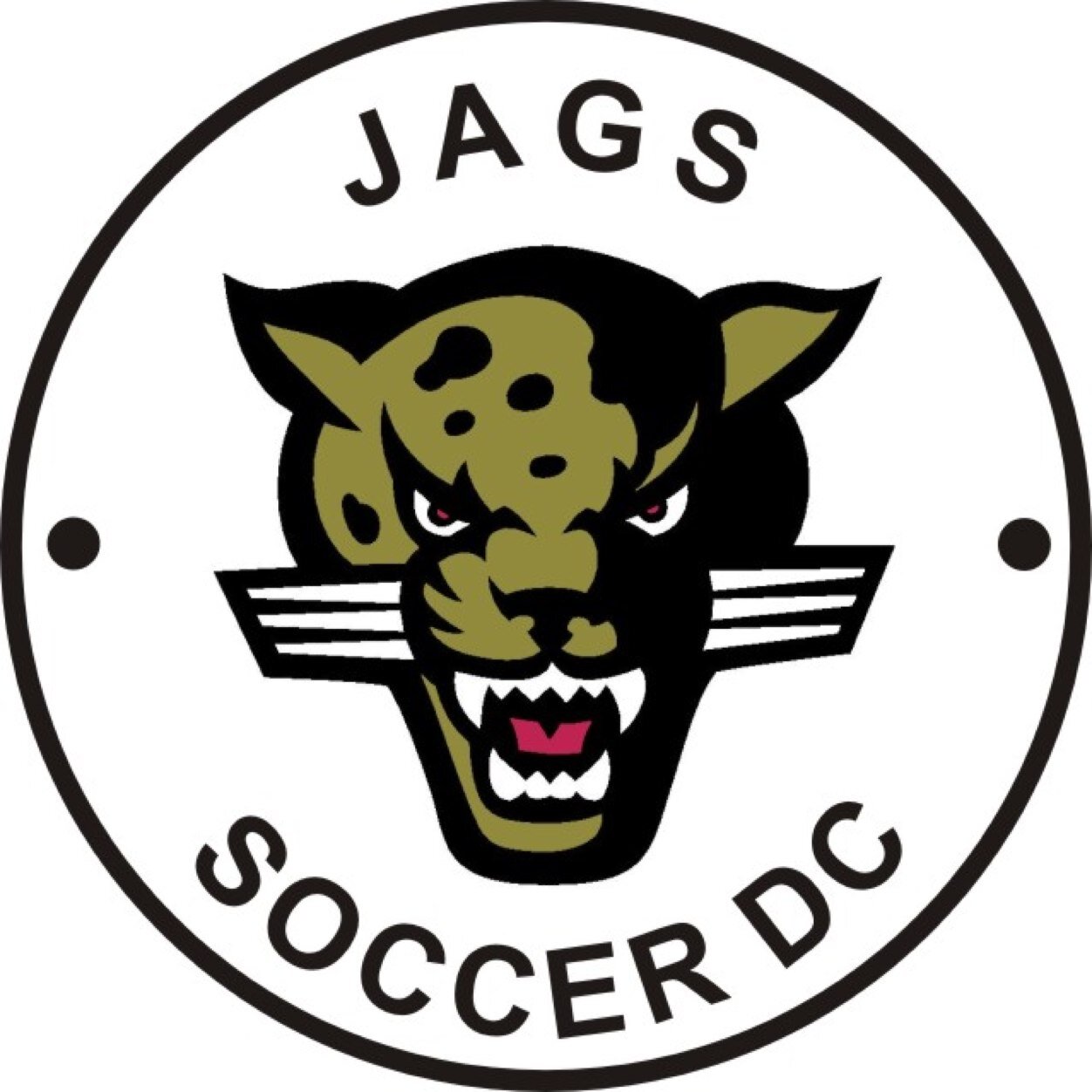 dc_jags's profile picture. Jags soccer development center is based in liverpool & merseyside & provide a high standed of football training to children between the ages of 5-14