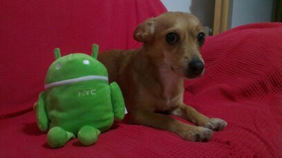 Rakel_kiki's profile picture. 