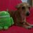 Rakel_kiki's profile image