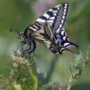 Ken Read - @caisterken - Twitter