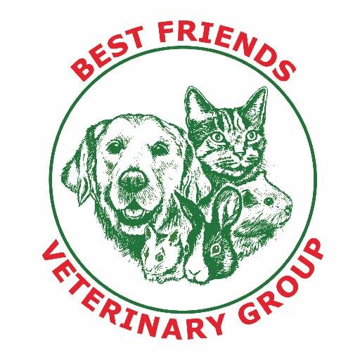 Best Friends Veterinary Group is an independent group with 36 practices, across 7 counties in the UK, with 25 years experience in the Veterinary Industry.