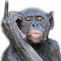 bonob0h (@bonob0h) 's Twitter Profile