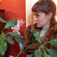 Lisbeth Kaufman (@lisbethkaufman) 's Twitter Profile