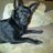 Jaime_DeSilva's profile image