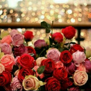 mumtaaz_dawood's profile picture. UKZN Honours Finance & Economics Graduate #AlhamdulillahForEverything