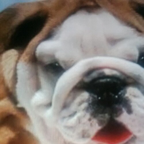 fifa14_josh's profile picture. FIFA