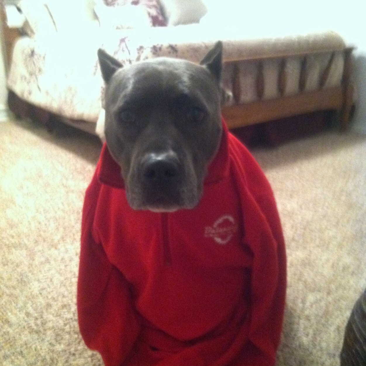 anina_renee's profile picture. 