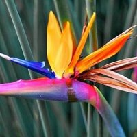 АронаТурс (@arona_tours) 's Twitter Profile