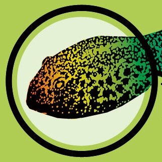 Tadpole is a collective of theatre practitioners working out of New Delhi committed to producing and promoting new and innovative work.