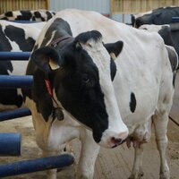 AGRiPROM (@agriprom_nl) 's Twitter Profile