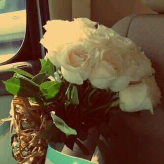 instagram:  @z_almassadi
