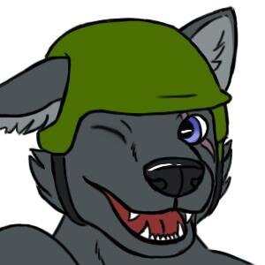 PHP/Python/C++ programmer, devops/sysadmin, pilot, PC master race, bookworm, diver, gun nut. Admin of @vojsko |

Supporter of 🇺🇦 |

 🇮🇱∼🇷🇺