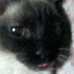 T.NAVAさんのプロフィール画像