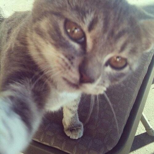 emanorsantri's profile picture. SMPN 2 TANJUNG , SMAN 1 TANJUNG, Program Studi Ilmu Keperawatan (PSIK) FK UNLAM