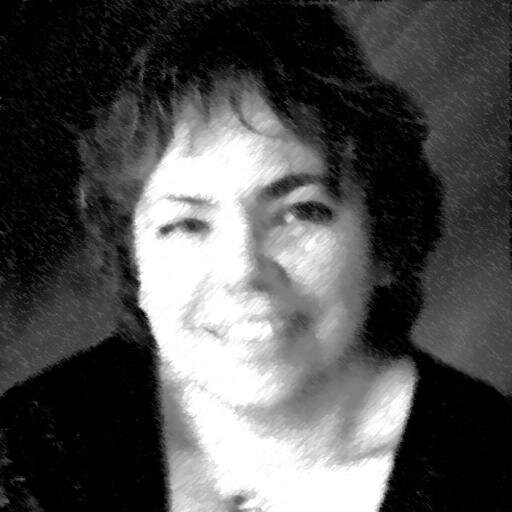 Journaliste SR aux ASH – Photos d'art et carterie. Photo aérienne de Chantilly : Chantal Gauthier