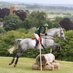 SP Equestrian (@swalcliffeparke) Twitter profile photo