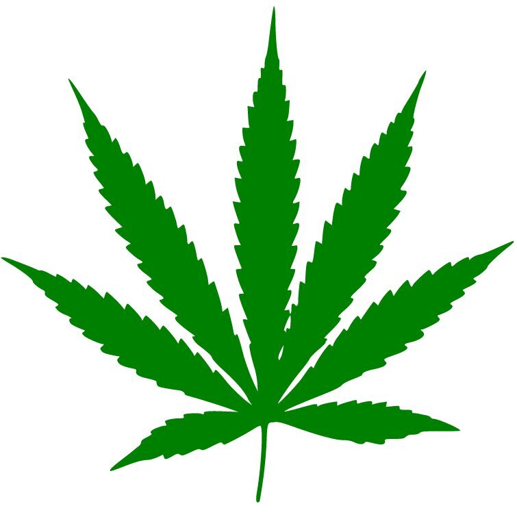 All about weed. Run by a stoner, for stoners.