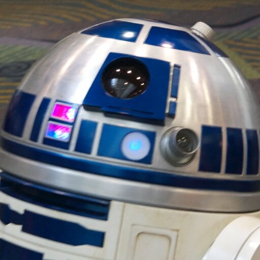 Photo enthusiast, R2 Builder, Star Wars fan/collector, Photo editor for Marvelicious Toys Podcast