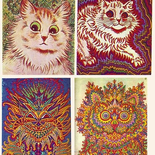 katesac's profile picture. chronic malingerer. rooting for extinction. semi-gruntled. Do Not Fold, Spindle or Mutilate.