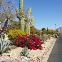 Kcmo (@sun281) 's Twitter Profile Photo