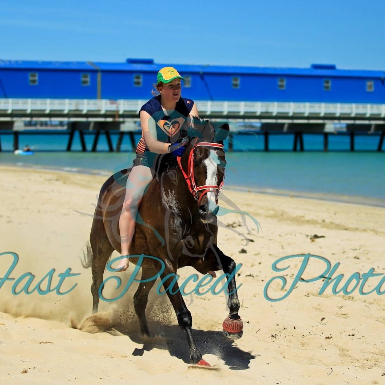 My horse is my baby and I'm a massive DOCKERS fan!!