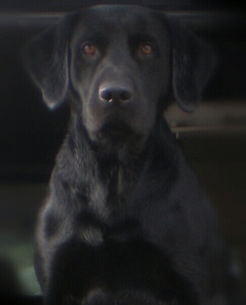 Waterfowler 24-7 ....... Most won't understand!!!
...... My thoughts and opinions are my own ......