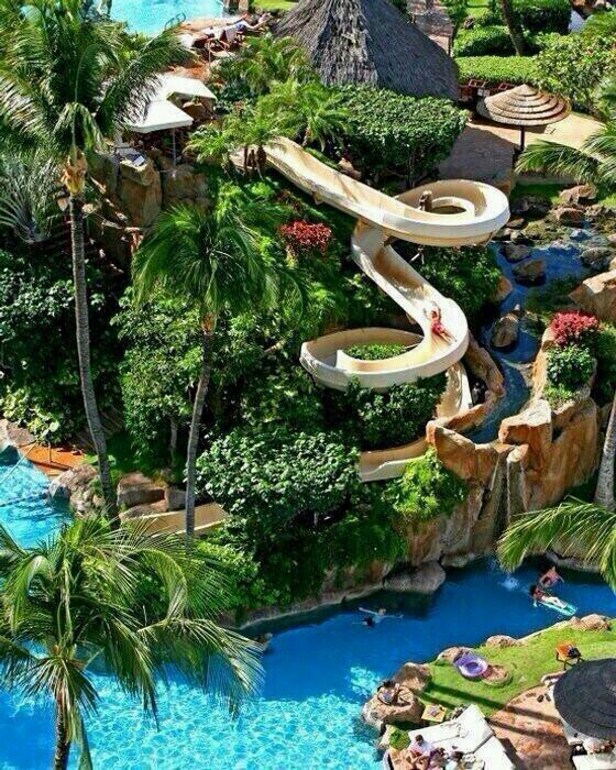 mssha145145's profile picture. 