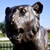 UWA Bound (@uwabound) Twitter profile photo