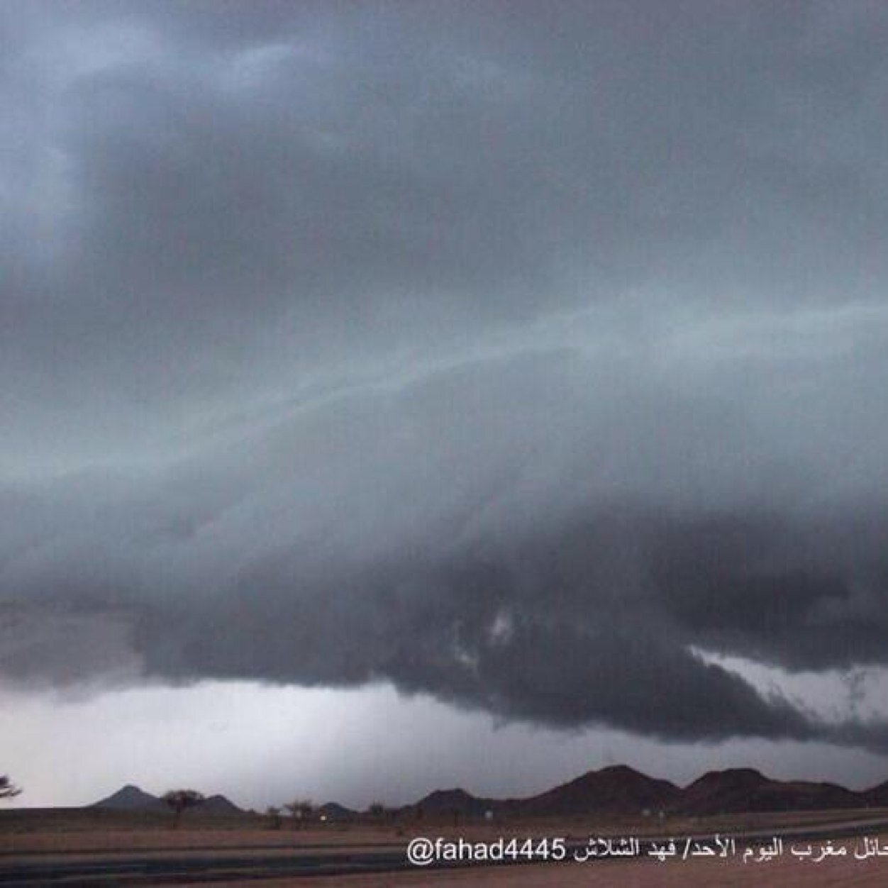 raab95132's profile picture. 