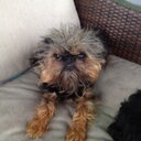 David Bernas - @dsbernas - Twitter