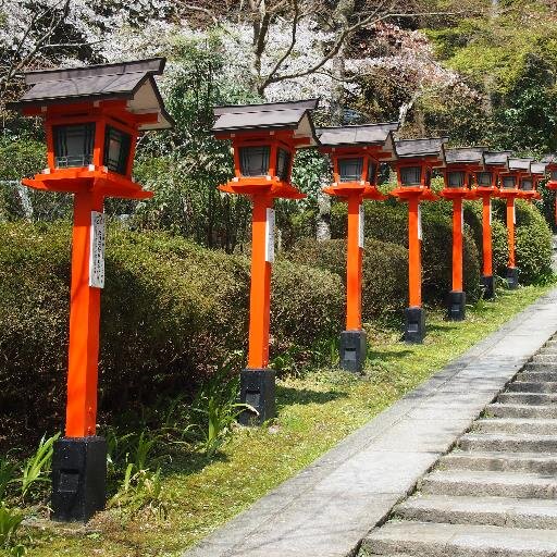 紅茶とコーヒーを愛し、そのおいしさを広めるために日々勉強中です。将来は地域のコミニュティ的なカフェをつくりたいと思います｡