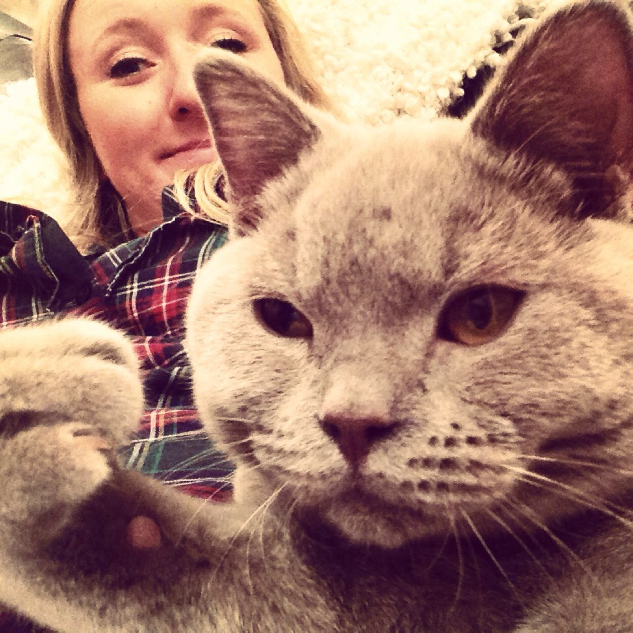 RosieLanham's profile picture. 