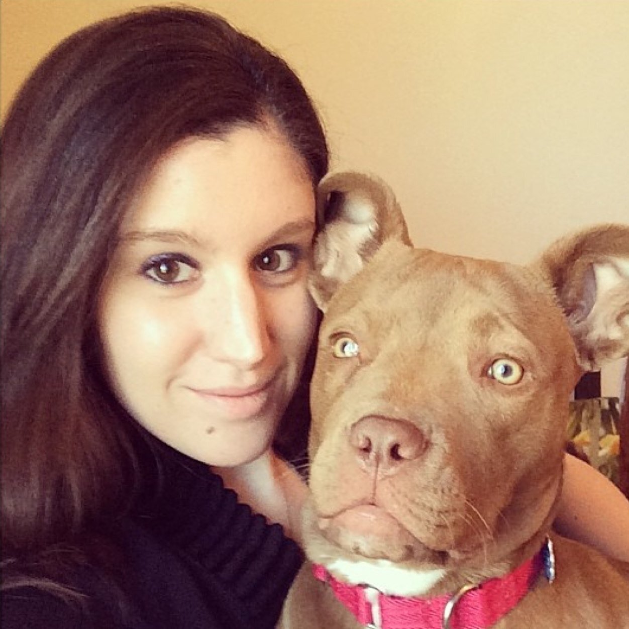 dianalcrouse's profile picture. 