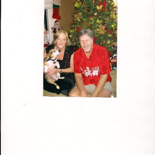 Terricurtess's profile picture. 