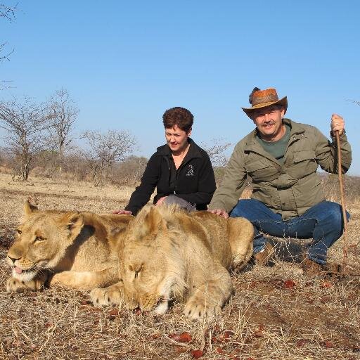 pete_collette's profile picture. 