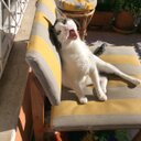 Carmen Prado - @CarmenPrado13 - Twitter