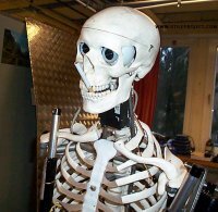 ekuroptev's profile picture. Не ложись спать, не делай ошибку, раньше ляжешь - раньше проснешься, оно тебе надо? Проснешься в обед, и считай полдня уже проебано, удобно.