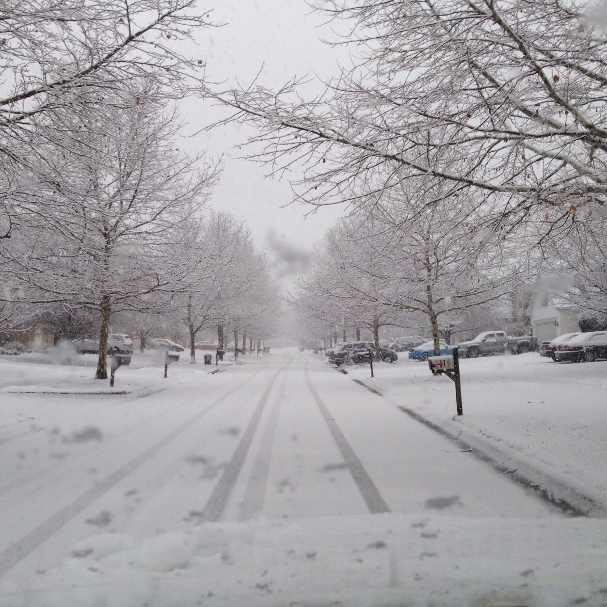 Humbled0861's profile picture. “The highest realms of thought are impossible to reach without first attaining an understanding of compassion.” ― Socrates