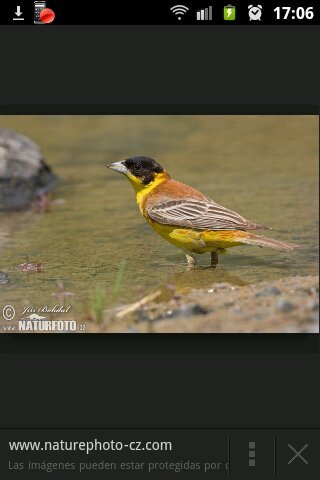 elescribanoo's profile picture. La pistola que te ha matado , la fabrico un comerciante honrrado . Y los genios que te dijiren ya no saben a donde huir.